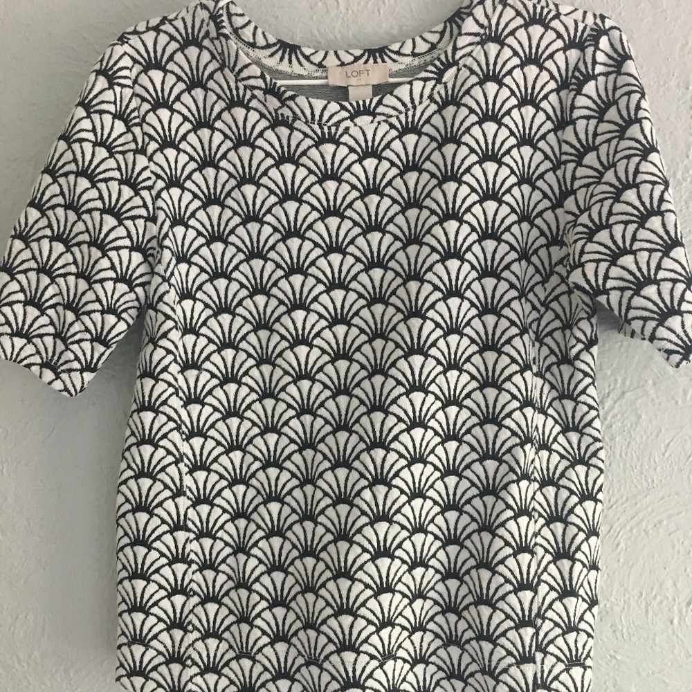 Loft Fitted Shirt with Clam